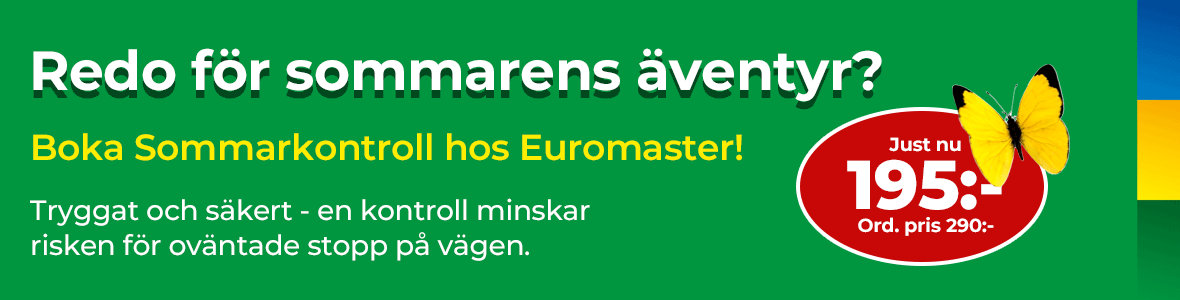 sommarkontroll bil