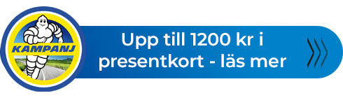 Michelin drivmedel vår 2025
